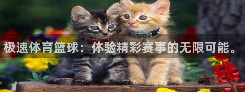 极速体育篮球：体验精彩赛事的无限可能。